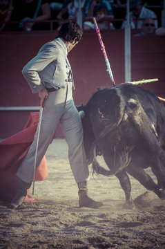 Entertainment, spectacle of bullfighting, where a bull fighting