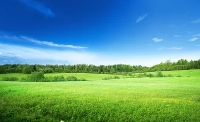 Foto op Plexiglas grasveld en perfecte lucht © Iakov Kalinin