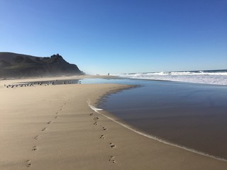 beach with curved tide