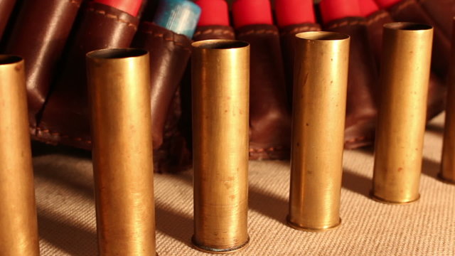 shotgshotgun and cartridges