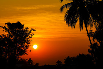 trees silhouette on beautiful sunrise background