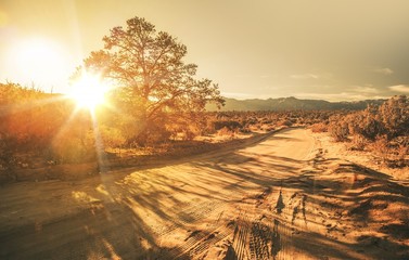 Sandy Country Road