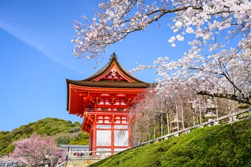Gordijnen Kyoto Temples in the Spring © SeanPavonePhoto
