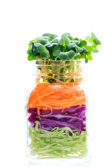 fresh colorful salad in the jar