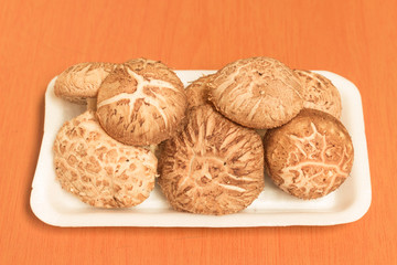 Shiitake mushroom on the white foam dish
