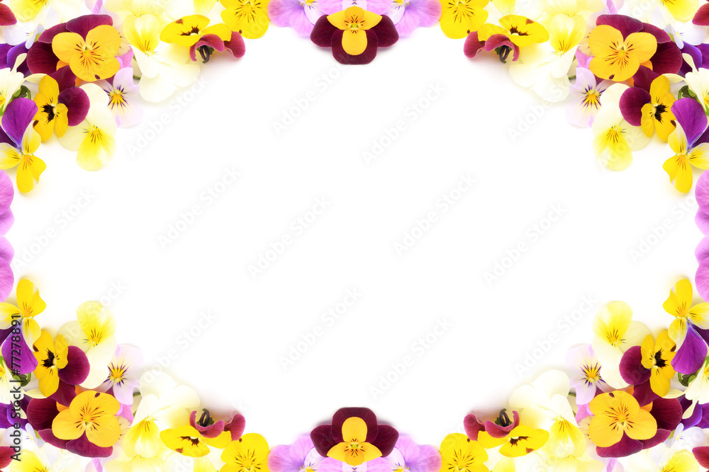 Wall mural frame of the pansy