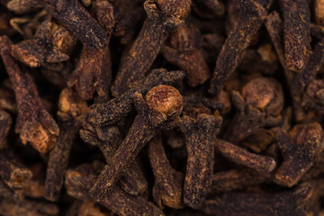 Background - seed cloves