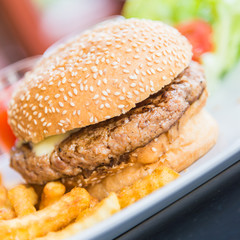 Hamburger and fries
