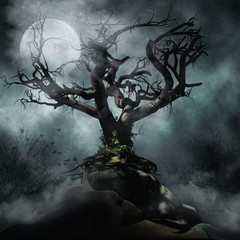 Upiorne drzewo we mgle na tle księżyca - obrazy, fototapety, plakaty