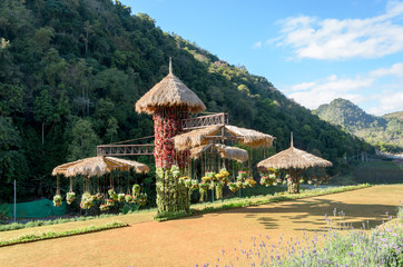 garden designs with hanging flower pot at Doi Ang Khang,Thailand