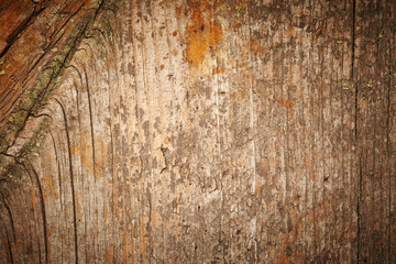 Obraz premium Wooden texture