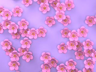 Fototapeta na wymiar Cherry Blossoms On Purple Background