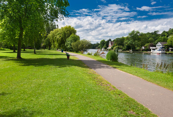 Stone Pathway in a Green Park
