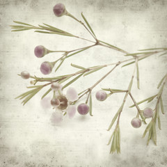 textured old paper background