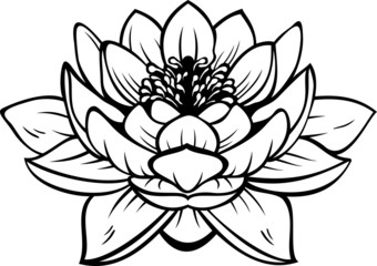 Lotus (nelumbo) flower. Vector tattoo illustration - obrazy, fototapety, plakaty