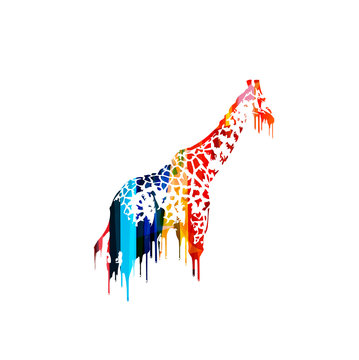 Colorful vector giraffe