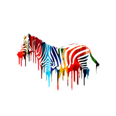 Colorful vector zebra © abstract