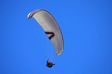 paraglider