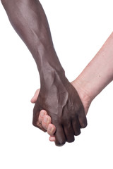 Two multi racial hands