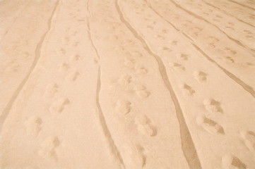 Fototapeta na wymiar sand traces - illustration based on own photo image