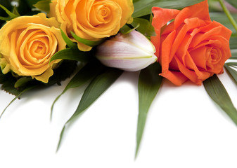 roses fleurs en bouquet
