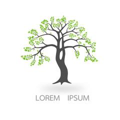 Obraz premium tree casts a shadow, a place for text, vector