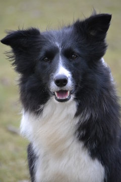 Elaine
