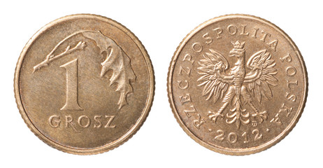 One Polish coin