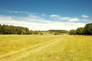 field landscape sky and trees