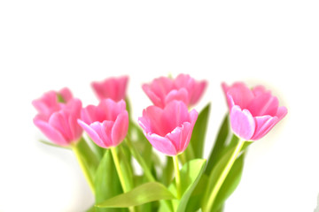 Frühling Tulpen Blumen Blüten Blumenstrauß