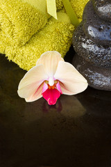 Fototapeta na wymiar orchid spa treatment