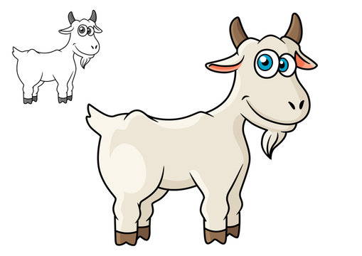Cartoon horned farm goat