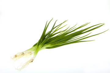green onion chives