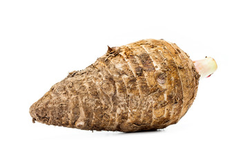 Taro isolated on white background