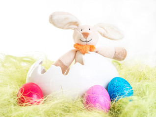 Osterhase im Ei
