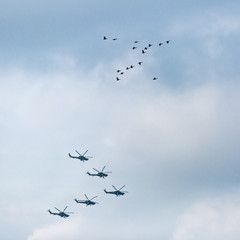 Helicopters and birds in the sky