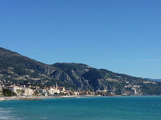 Fototapeta premium Broda