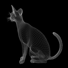 cat wire model