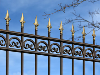 Decorative metal fence  with  ornaments .