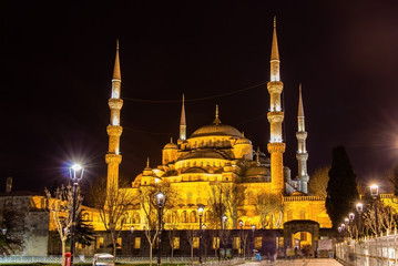 Fototapeta na wymiar Sultan Ahmet Mosque (Blue Mosque) in Istanbul - Turkey