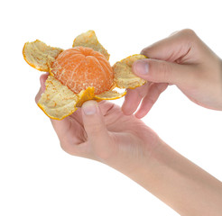 hand holding and peeling orange isolated on white