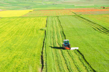 Tractor mowing green field