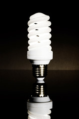Bright energy saving fluorescent light bulb