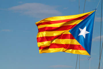 Estelada flag