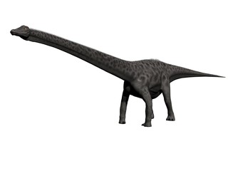 diplodocus dinosaur - 3d render