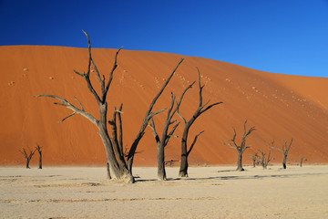 Dead Vlei, Sossusvlei, Namibia