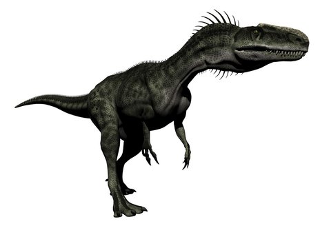 monolophosaurus dinosaur - 3d render