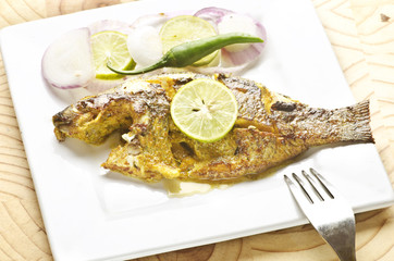 Grilled Fish Isolated On White Background