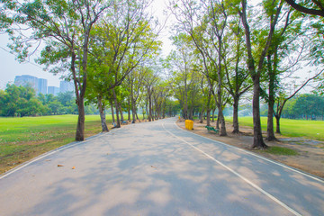 Green city park