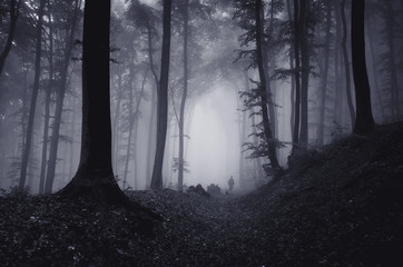 dark misty forest with man walking at night